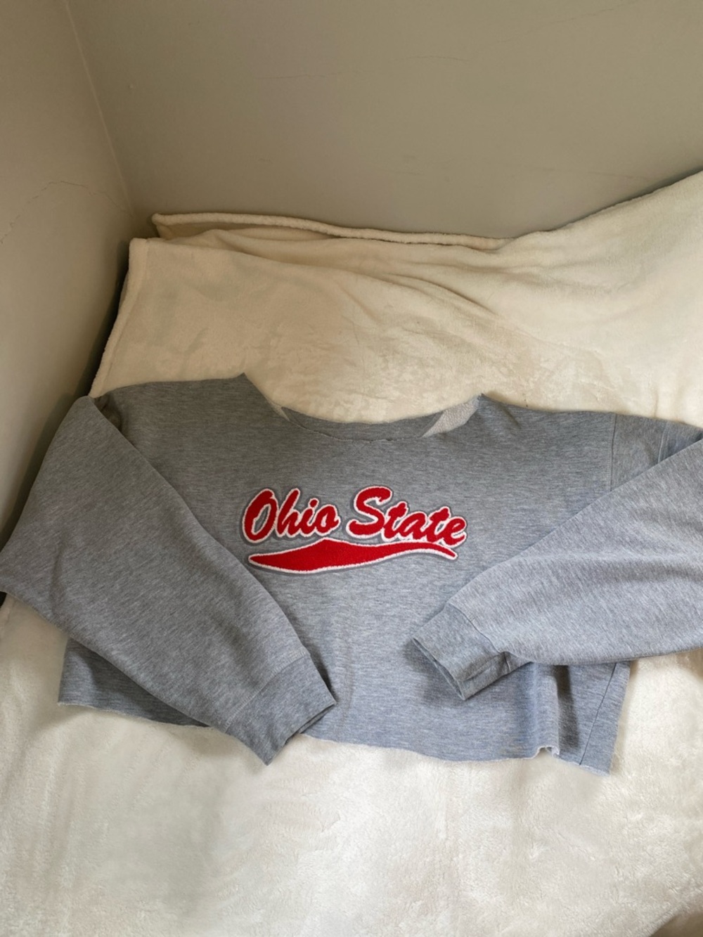 Ohio State OSU Cropped Oversized Gray Crewneck Sweatshirt with Red Script